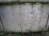 image of grave number 255295